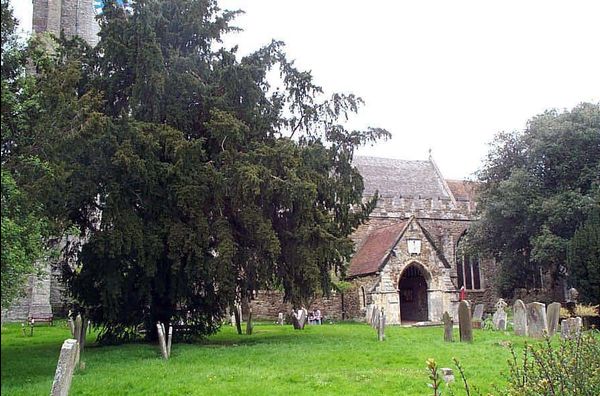 Tenterden St Mildred