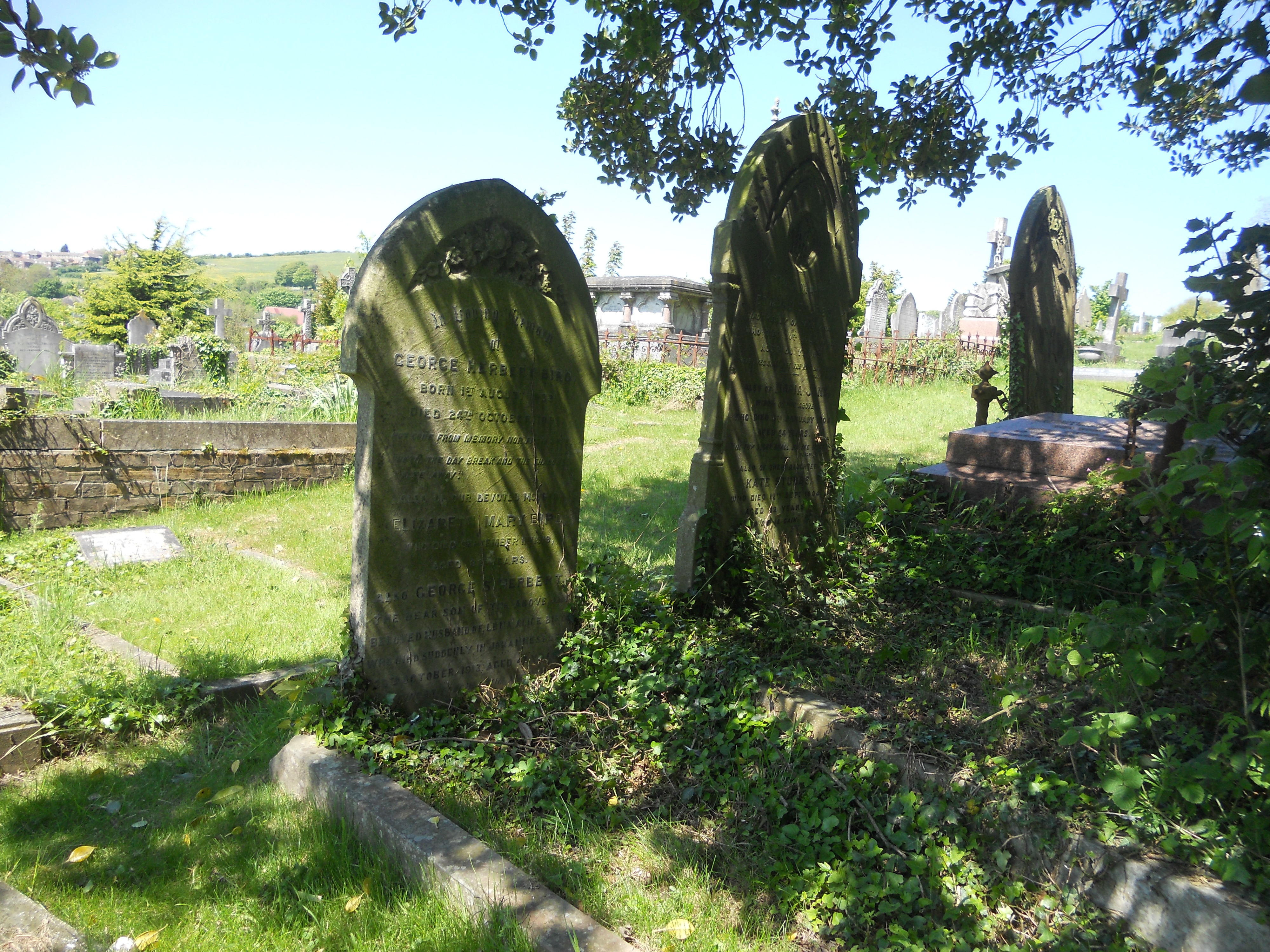 Dover St Mary Cemetery photo