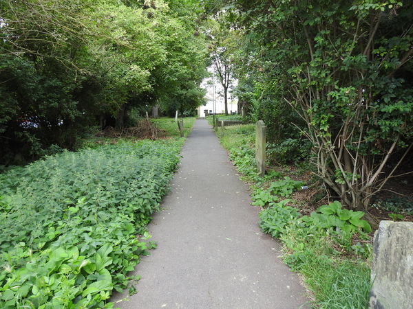 Maidstone Brewer STreet