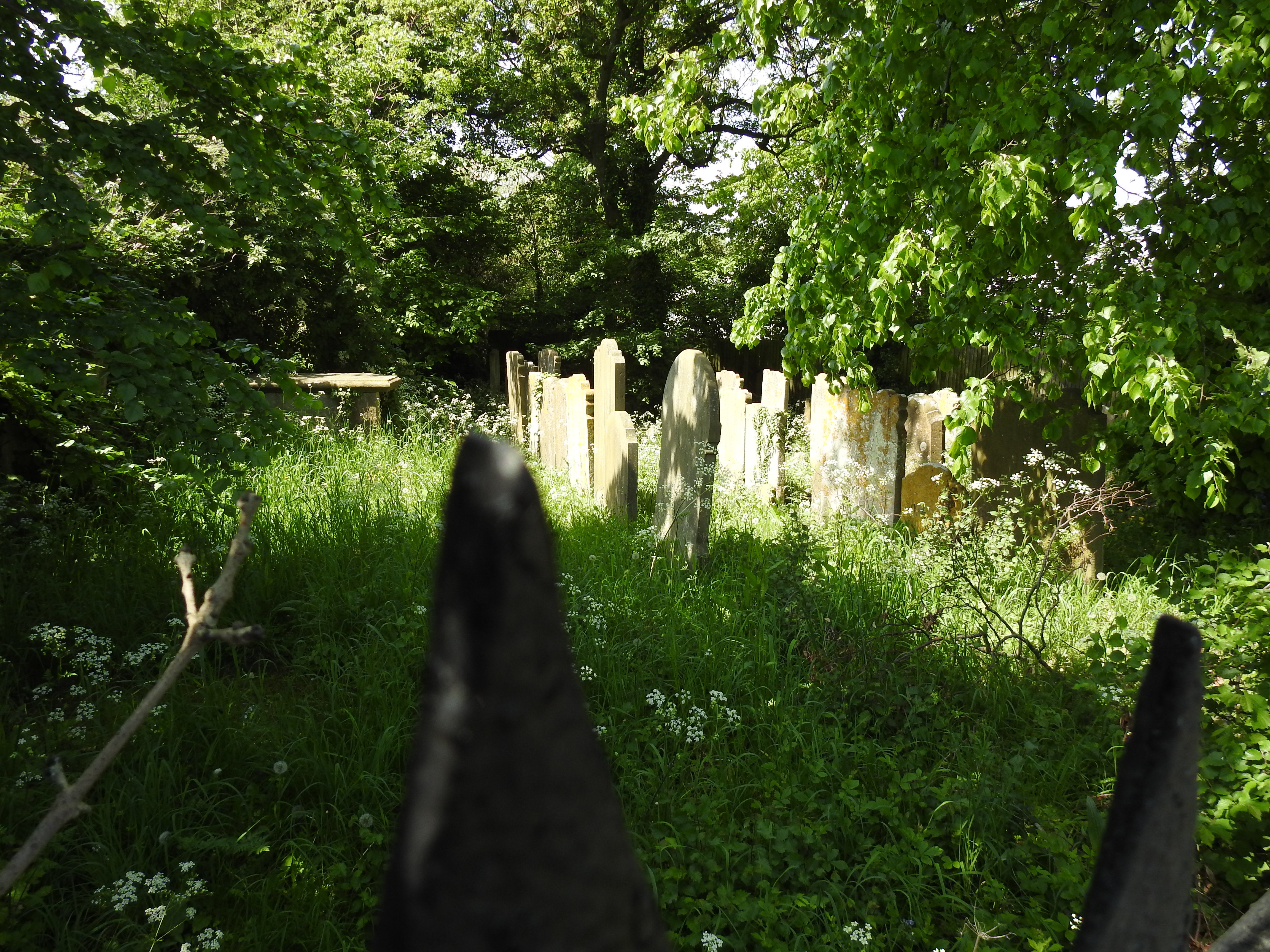Tovil Church burial ground