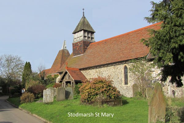 Stodmarsh from Tricia