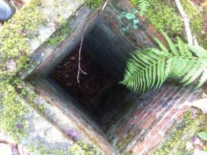 Access shaft (Rye News)