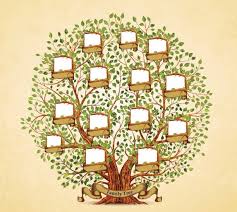 Family Tree