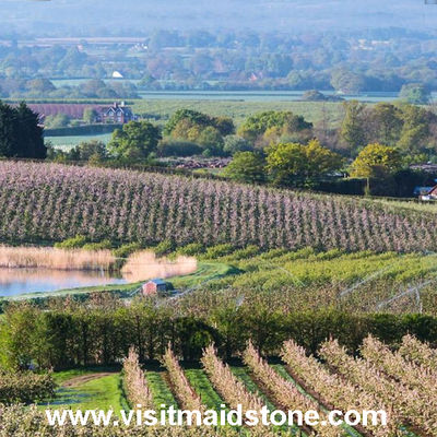 Spring in Kent
© Visit Maidstone