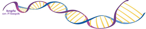 DNA strand