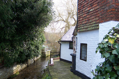 The Nailbourne at Bridge (photo TriBax)